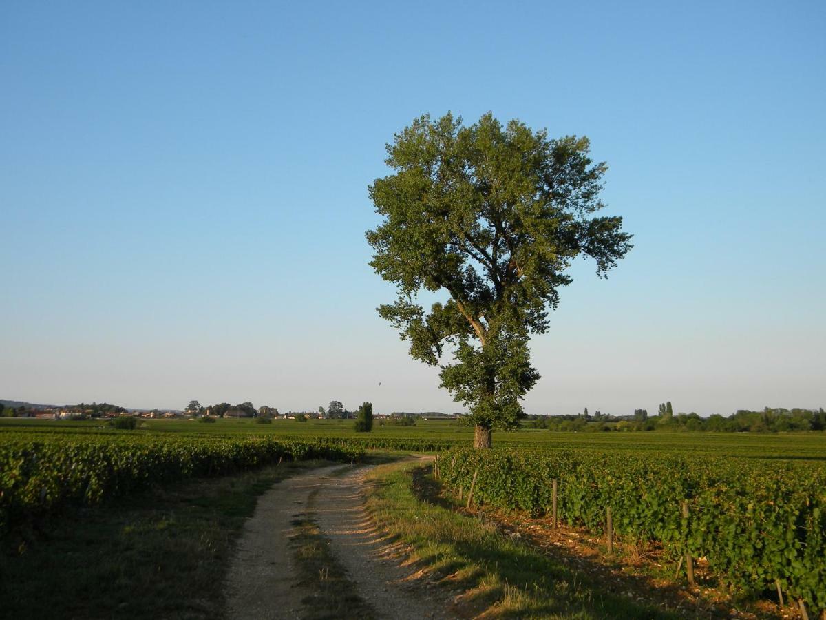 Appartamento Le Jardin Des Chanceliers Beaune  Esterno foto